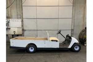 EZGO Golf Cart | Electric 